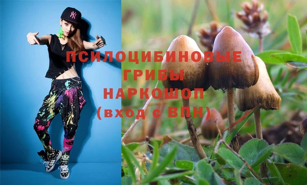 тгк Заводоуковск
