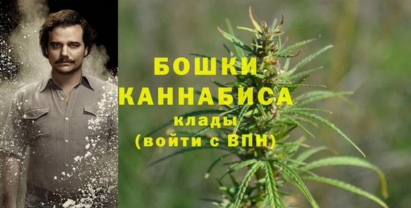 тгк Заводоуковск