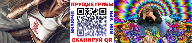 Купить  Зерноград  Галлюциногенные грибы Cubensis 